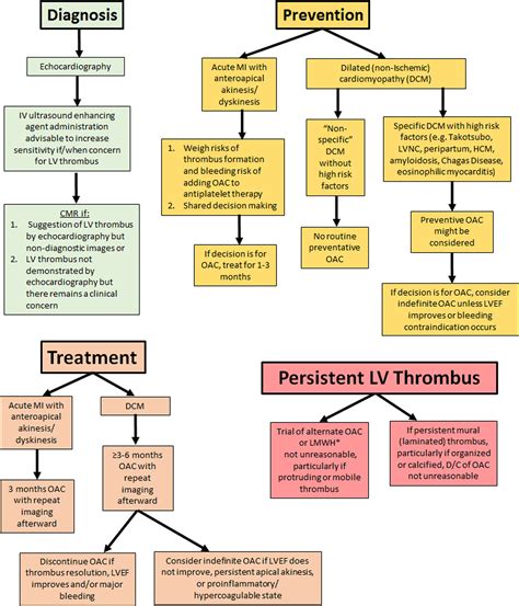 Management of Patients at Risk for and With Left Ventricular 